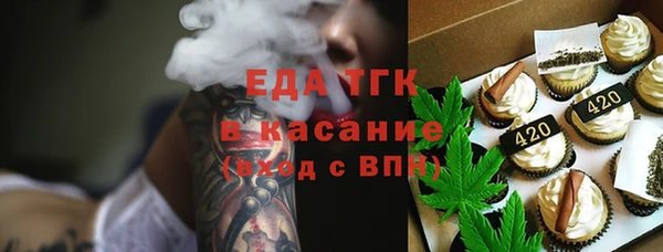 индика Покачи