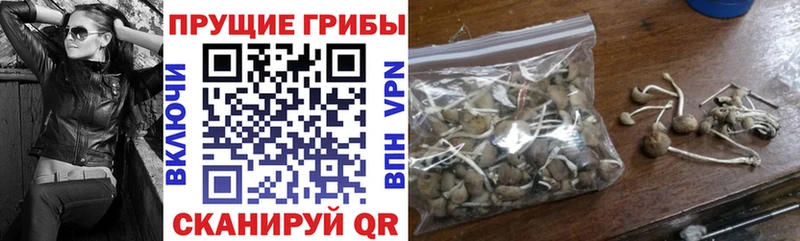 Псилоцибиновые грибы ЛСД  наркота  Иланский 